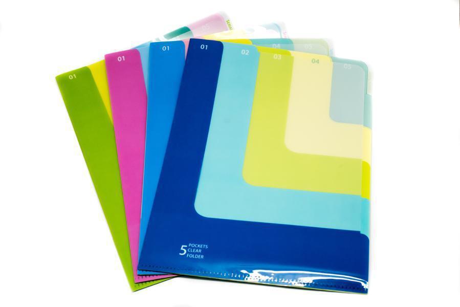 Multi Colour 5 Compartment L Folder Files and Folders One Dollar Only