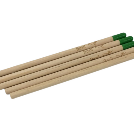Sprout Pencil Pencils One Dollar Only